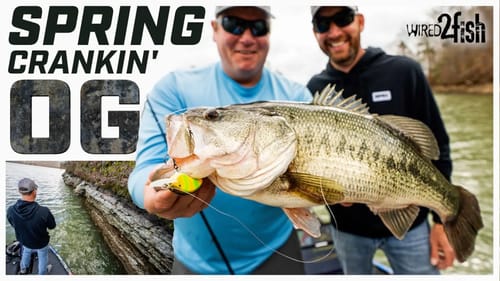 DeFoe's Spring Crankbait Tactics for Shallow Bass
