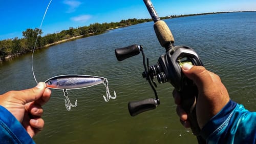 Crazy Midday Topwater Bite Fishing Unexplored Saltwater Flats