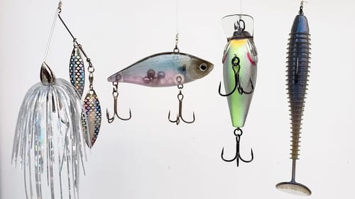 Catch Shallow Bass Right Now - Shad Spawn And Shallow Water Tricks