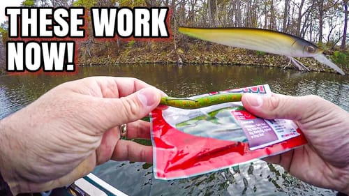 The Two Lures ALWAYS Work When It's COLD!