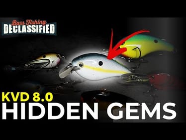 The Tournament Winning Crankbait Pros Never Talk About