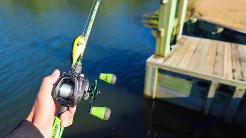Catching TROPHY Bass While Bank Fishing