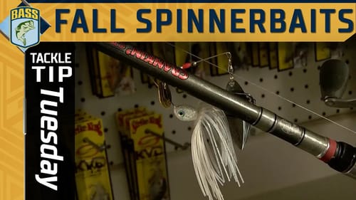 Why Clark Wendlandt uses a spinnerbait in the late fall, early winter