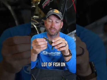 The Bass Pro Crawdigy is a versatile craw bait for me. By itself or as a trailer it gets used a lot!