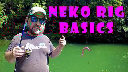 Neko Rig Basics