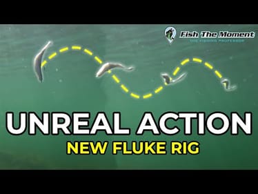 This Hook Turns Any Fluke Into a Chatterbait!