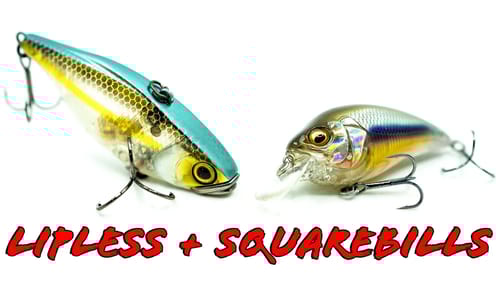 Buyer's Guide: Squarebills and Lipless Crankbaits For Every Season