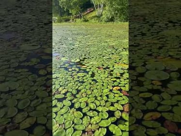 What Fishing Lure Would You Use?