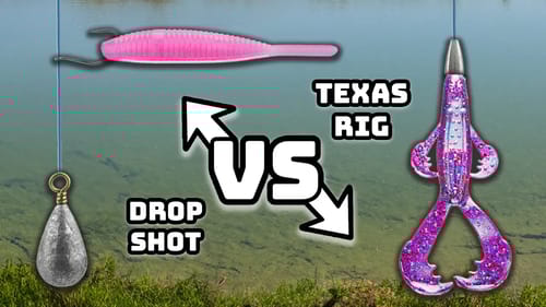 Fishing A DROP SHOT VS. TEXAS RIG (Which One Is BETTER??)