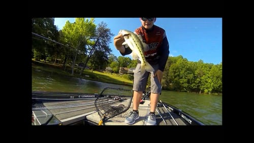 Fishing Lake Lanier "Early Summer"