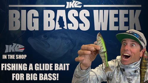 How to Fish a Glide Bait for Big Bass!