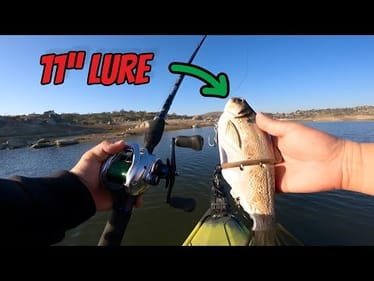 Fishing Giant Swimbaits for Trout Eaters