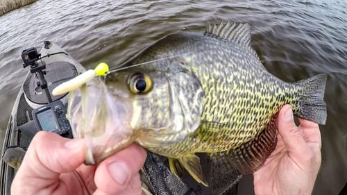 Spring Crappie Fishing