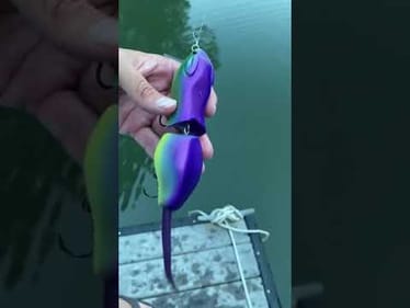 Swimbait Review: Illude Rad Rat