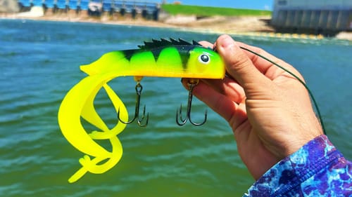 UNEXPECTED MONSTER beneath MASSIVE SPILLWAY!! (STRANGE)