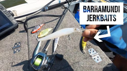 1st Cast Jinx Real?  Jerkbait Barramundi Big Barra Dreams Part 5