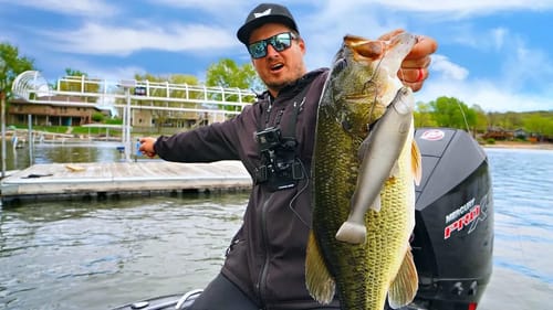 Flipping MASSIVE Swimbaits to GIANT Bass under Docks!!!