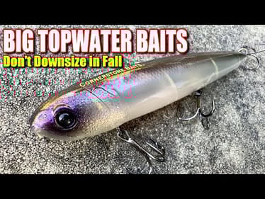 BIG Baits CATCH BIG Fall Bass When Others Downsize!