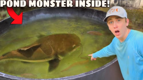 I Found a MONSTER Living in My Pond!