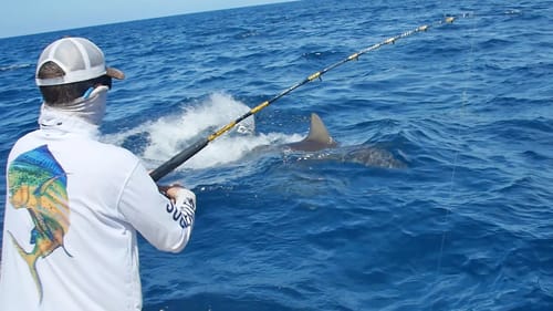 The Shark Fishing Round Up Challenge - ft. BlacktipH and Outlaw