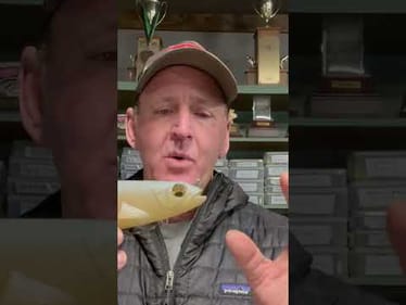 Best Swimbait Tip Ever