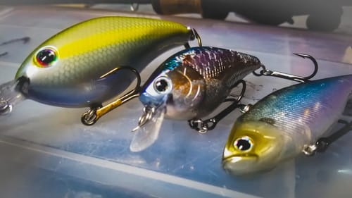 4 Crankbaits That Keep Catching Bass In Fall and Winter