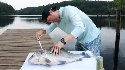 IS THIS FISH EDIBLE? Buffalo Catch Clean & Cook