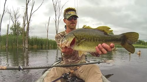 Frog Fishing A Hidden Bay