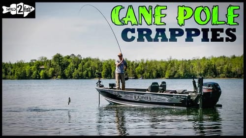 Target Spring Crappies With Long Rods and Plastics