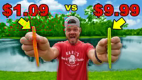 1v1 CHEAP vs EXPENSIVE Fishing Lures! (Does Price Matter?)