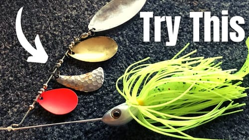 The BEST Spinnerbait BLADE Combo (Spinnerbaits Throughout The Year)
