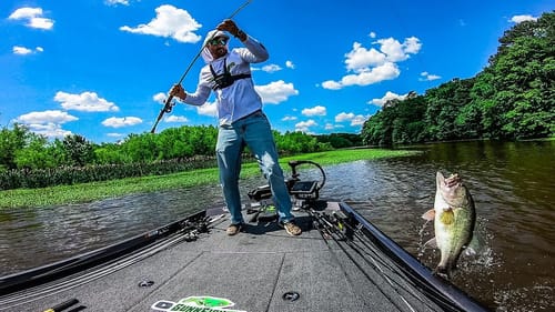 Fishing BACKWATER PONDS Loaded with THICK GRASS!! || Froggin Thick Grass
