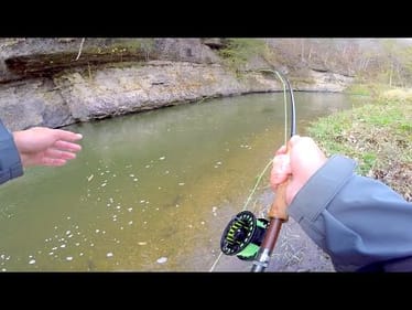 Creek Fishing & Fall Smallmouth