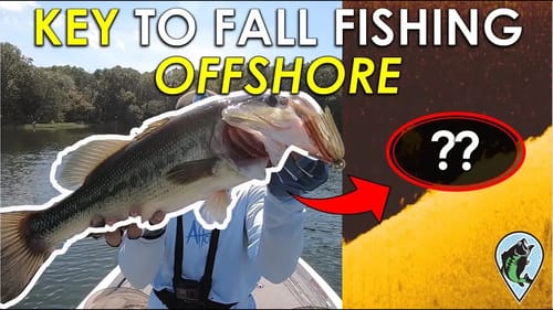 How to Find Active Fall Bass Offshore | Fall Bass Fishing Tips