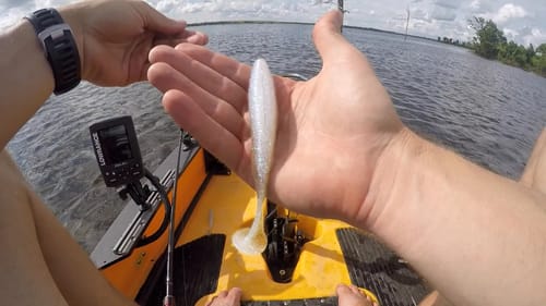 New Swimbaits and Schooling Bass