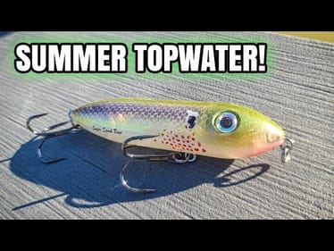 Pond Bass CRUSHED This Topwater Lure!