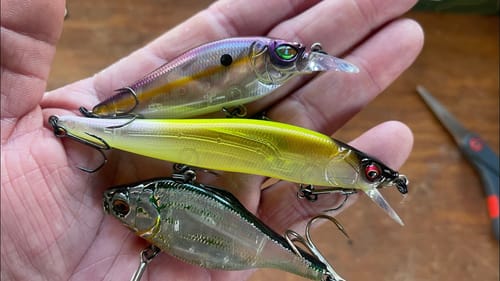 Pro’s Don’t Want You To Know THIS About Translucent Lures…