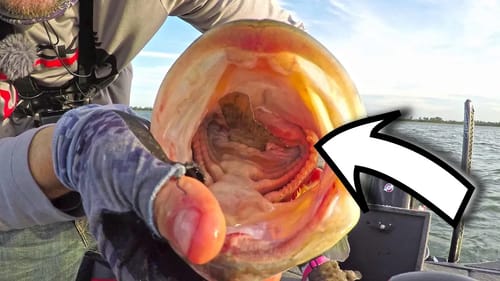 WHAT was IN HER MOUTH?!?  CRAZY FISHING FIND!!!