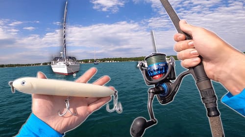 Throwing HUGE Topwater Lures For Saltwater MONSTERS! (Cape Cod Fishing)