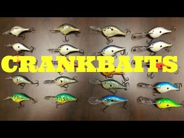 Everything You Really Need to Know about Crankbaits