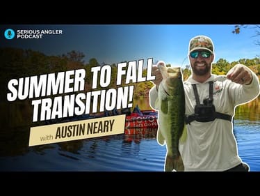 SNEAKY Baits to Catch Bass During the Summer to Fall Transition!