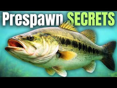 Prepare NOW For EARLY SPRING Bass Fishing (PRESPAWN)