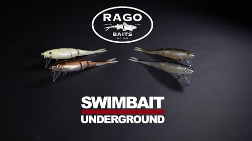 Swimbait Undergound x Rago Baits D3