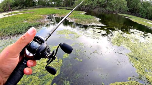 Bass Fishing Texas Grass for GIANTS!! (LOADED)