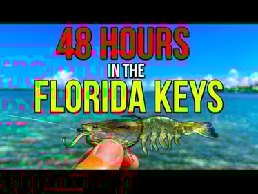 48 hours to Catch Fish in the Florida Keys