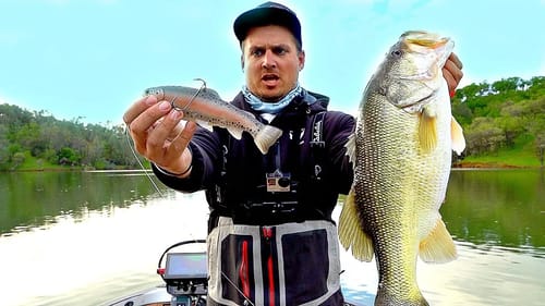 Big Bass CRUNCHES Giant Swimbait on the Bottom!! --New PB Quest