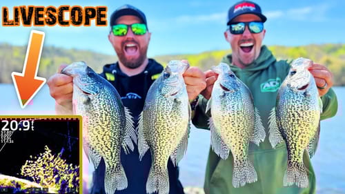 Catching BIG CRAPPIE Using LIVESCOPE! THEY'RE LOADED - EPIC DAY!