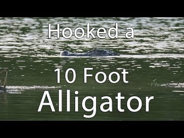 Bass Fishing on Bienville Plantation then Chad Hooks a 10 Foot Gator