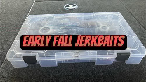 A Peek Into My Early Fall Jerkbait Box…