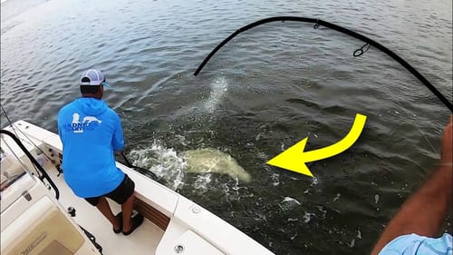 Our FISHING GUIDE was DEAD WRONG!! (FISH ID)